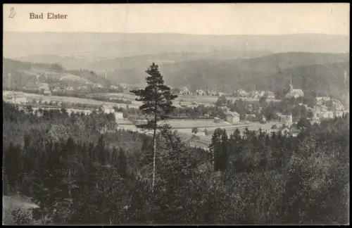 Ansichtskarte Bad Elster Fernblick auf die Stadt 1917