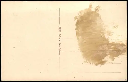 Ansichtskarte Bad Elster Fernblick auf die Stadt 1917