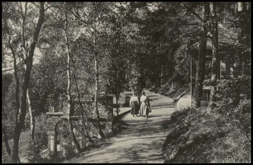 Ansichtskarte Bad Elster Weg an der Betty-Bank 1917
