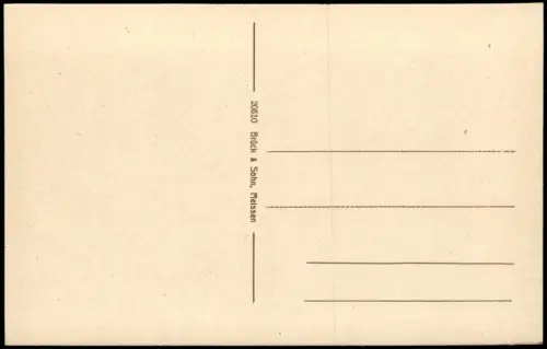 Ansichtskarte Bad Elster Luisa-See Louisa-See Ruderer 1917