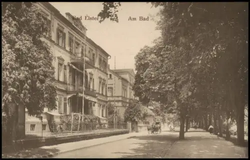 Ansichtskarte Bad Elster Straßenpartie Stadthäuser und Kutsche 1917