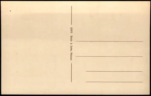 Ansichtskarte Bad Elster Straßenpartie Stadthäuser und Kutsche 1917