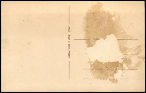 Ansichtskarte Bad Elster Moritzquelle Statue 1917