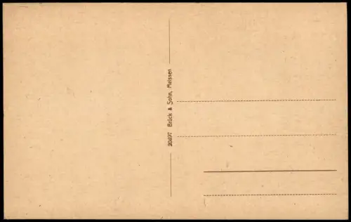 Ansichtskarte Bad Elster Blick über den Rosengarten 1917