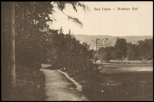 Ansichtskarte Bad Elster Fernblick auf das Wettiner Hof 1917