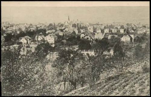 Ansichtskarte Weinböhla Blick auf die Stadt 1917