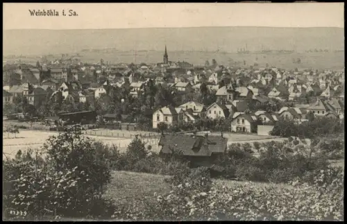 Ansichtskarte Weinböhla Partie an der Stadt 1917