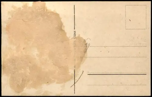 Ansichtskarte Niederau Panorama Fabrikanlagen 1917