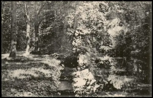 Ansichtskarte Großenhain Wasserpartie im Stadtpark 1917