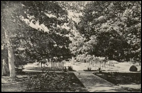 Ansichtskarte Großenhain Stadtpark - Anlagen 1917