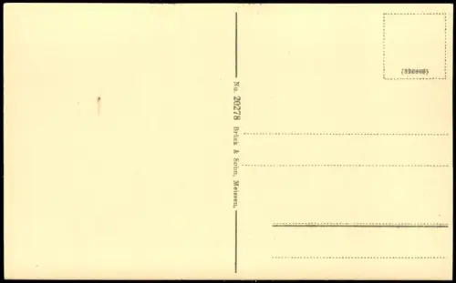 Kamenz Kamjenc Blick von der Wiese auf Hauptkirche Marienkirche 1916