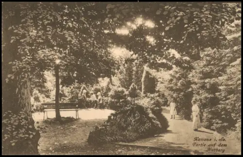 Ansichtskarte Kamenz Kamjenc Partie auf dem Hutberg 1916