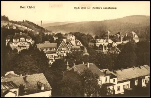 Ansichtskarte Bad Elster Blick über Dr. Köhler's Sanatorium 1918