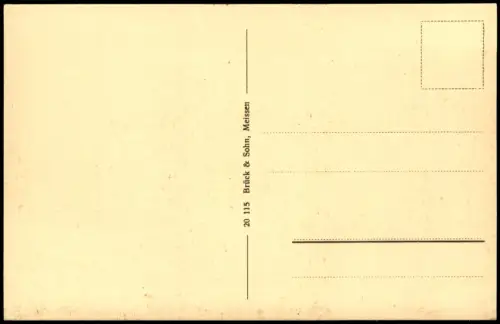 Ansichtskarte Bad Elster Blick über Dr. Köhler's Sanatorium 1918