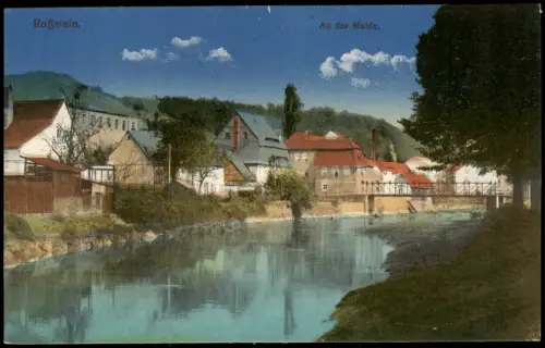 Ansichtskarte Roßwein An der Mulde. 1916