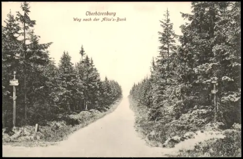 Oberbärenburg-Altenberg (Erzgebirge) Weg nach der Alice's-Bank 1913