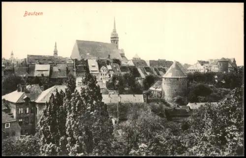 Ansichtskarte Bautzen Budyšin Stadtblick 1915
