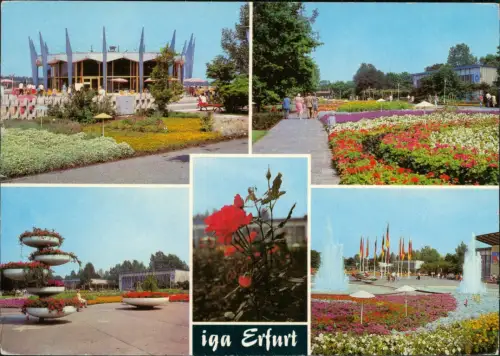 Ansichtskarte Erfurt Internationale Gartenbauausstellung der DDR (IGA) g1982