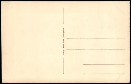 Ansichtskarte Rübeland Panorama-Ansicht 1910