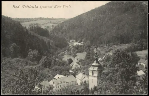 Bad Gottleuba Berggießhübel Panorama-Ansicht Gottleuba genannt Klein-Tirol 1918