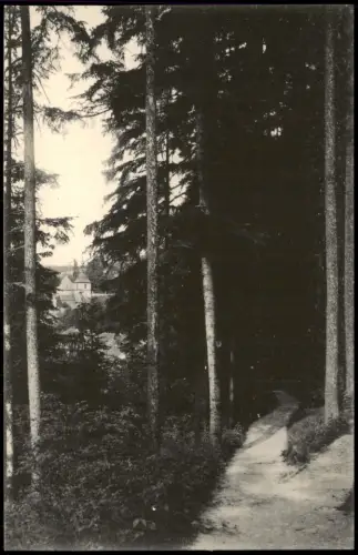 Bad Gottleuba-Berggießhübel Tannenbusch-Promenade mit Blick auf die Kirche 1915