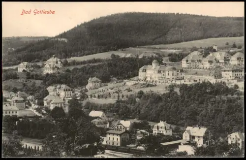 Ansichtskarte Bad Gottleuba-Bad Gottleuba-Berggießhübel Stadtblick 1915
