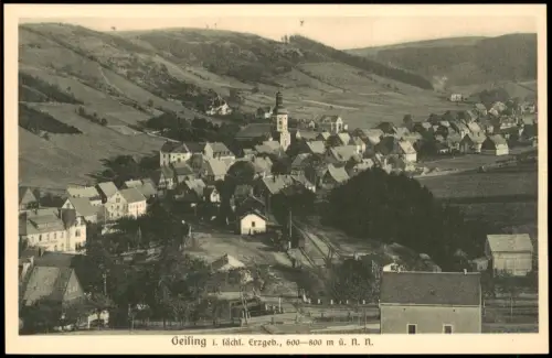 Ansichtskarte Geising-Altenberg (Erzgebirge) Blick auf die Stadt 1918