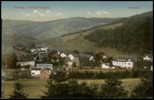 Ansichtskarte Geising-Altenberg (Erzgebirge) Stadt Stadtpark 1914