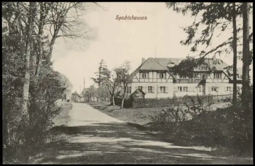 Ansichtskarte Spechtshausen-Tharandt Straßenpartie 1917