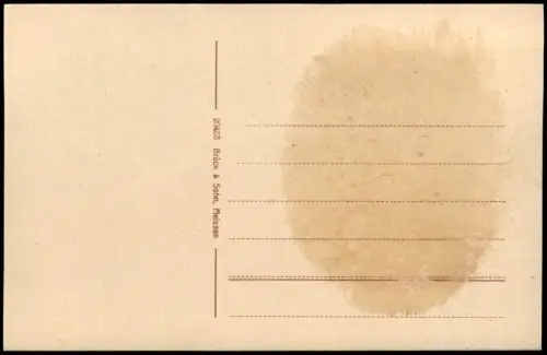 Ansichtskarte Hintergersdorf-Tharandt Stadt mit Thalmühle 1917