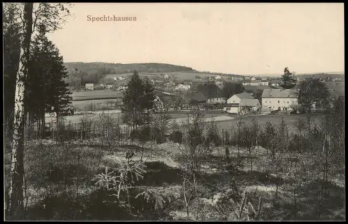 Ansichtskarte Spechtshausen-Tharandt Fernblick auf die Stadt 1917
