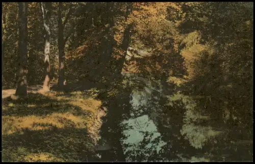 Ansichtskarte Großenhain Wasserpartie im Stadtpark. 1917