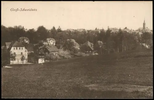 Ansichtskarte Großschweidnitz (OL) Swóńca Stadtpartie 1922