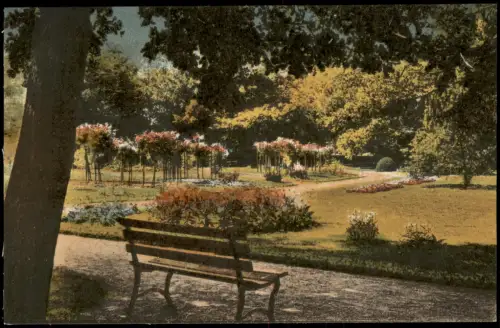 Ansichtskarte Großenhain Stadtpark Bank 1917