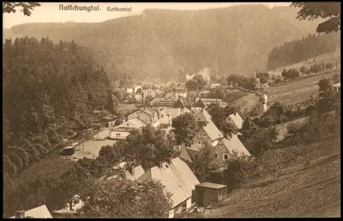 Ansichtskarte Rothental-Olbernhau Natschungtal Rothental 1923