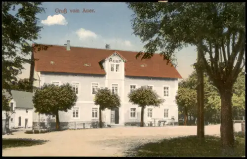 Ansichtskarte Auer-Moritzburg Waldgasthof "Auer" 1916