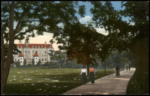 Ansichtskarte Zwickau Partie in den Anlagen. 1916