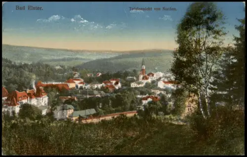 Ansichtskarte Bad Elster Totalansicht von Norden. 1916
