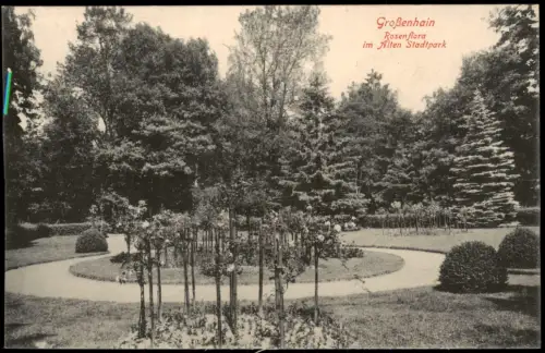 Ansichtskarte Großenhain Rosenflora im Alten Stadtpark 1915