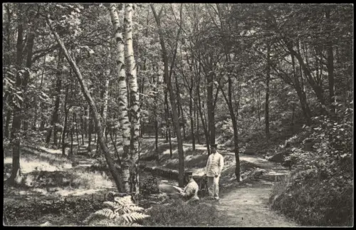 Dresden Garnison-Lazarett Reserve-Lazarett 1 Soldaten in der Heide 1915