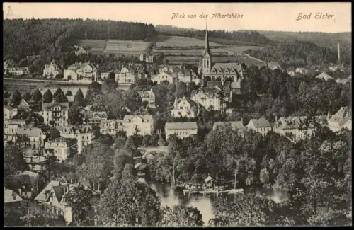 Ansichtskarte Bad Elster Blick von der Albertshöhe 1916