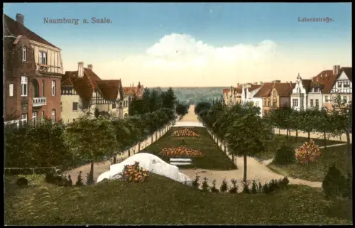 Ansichtskarte Naumburg (Saale) Luisenstraße 1915