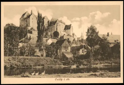 Ansichtskarte Colditz Partie an der Stadt 1913