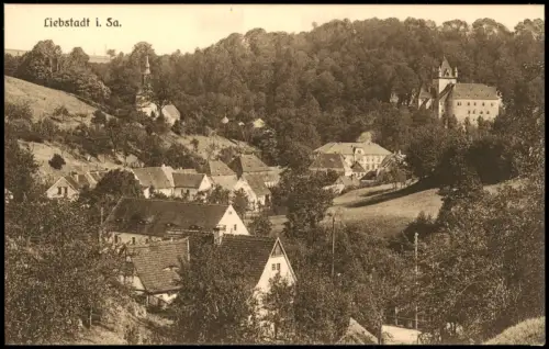Ansichtskarte Liebstadt Stadtpartie 1915