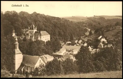 Ansichtskarte Liebstadt Ortsblick 1914