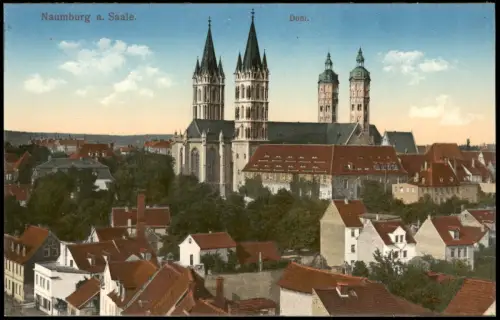 Ansichtskarte Naumburg (Saale) Totale Dom 1914