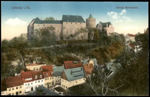 Ansichtskarte Leisnig Stadt u. Schloss Mildenstein 1915
