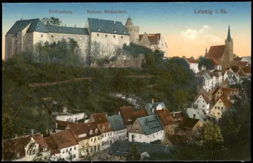 Ansichtskarte Leisnig Stadtpartie Schloß 1915