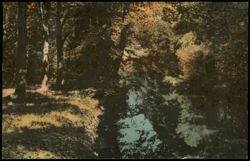 Ansichtskarte Großenhain Wasserpartie im Stadtpark. 1917