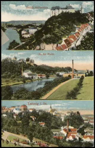Ansichtskarte Leisnig 3 Bild Mulde Stadt Schloß 1915